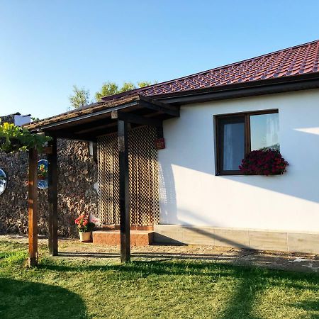 Villa Draganovi Kamen Bryag Zewnętrze zdjęcie